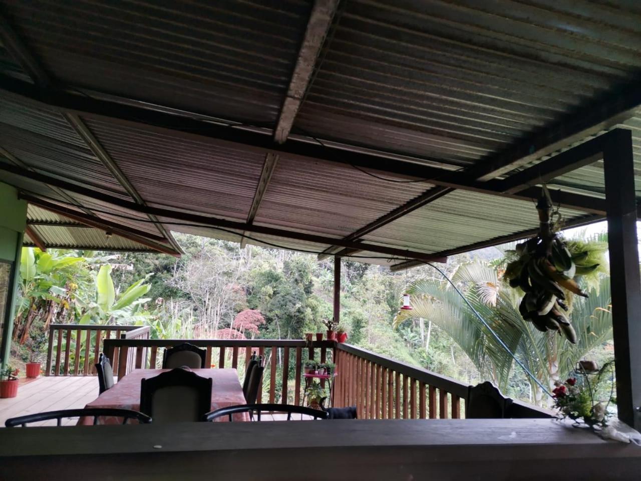 Bella Vista Guest House Τουριάλμπα Εξωτερικό φωτογραφία