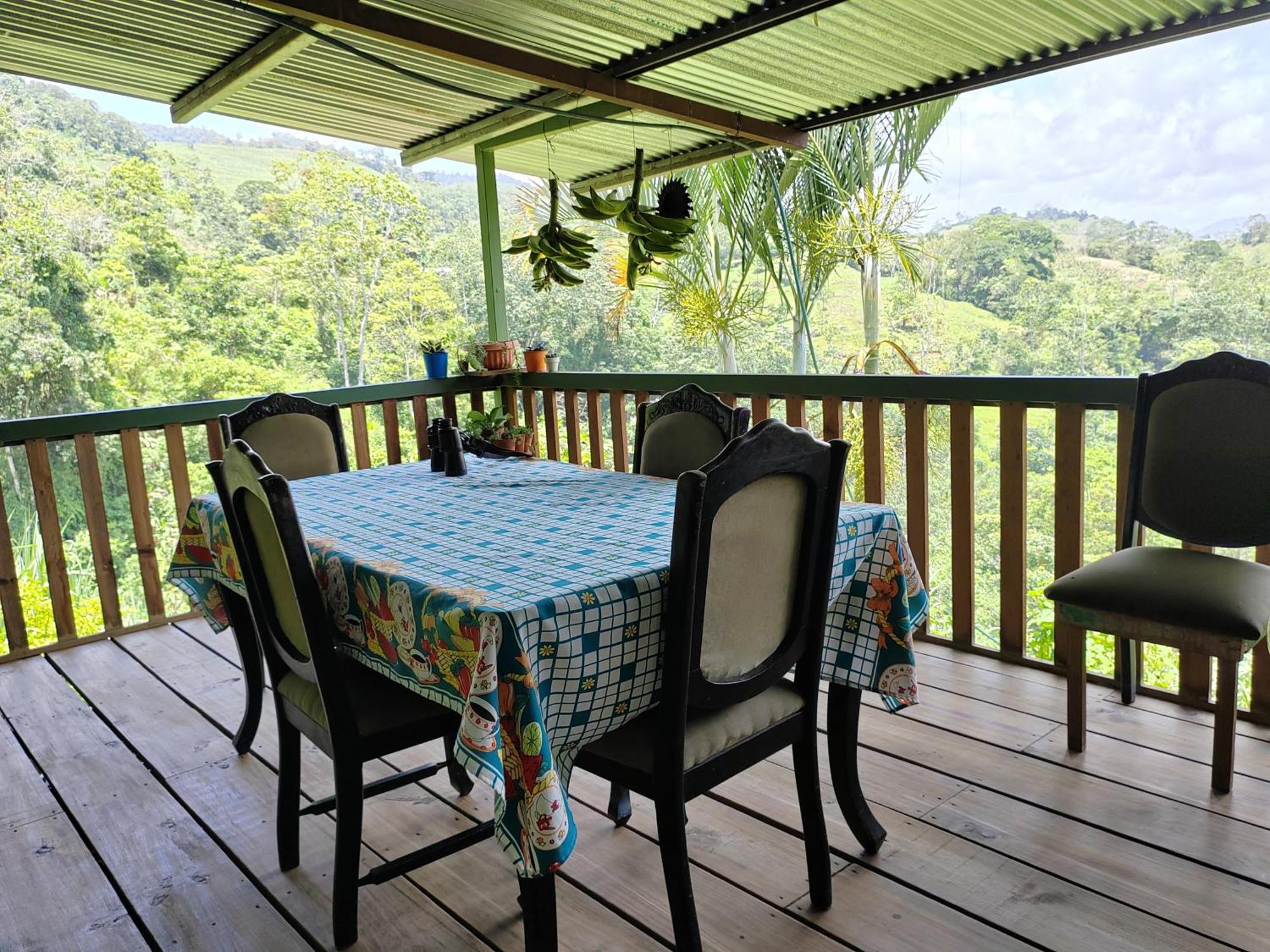 Bella Vista Guest House Τουριάλμπα Εξωτερικό φωτογραφία